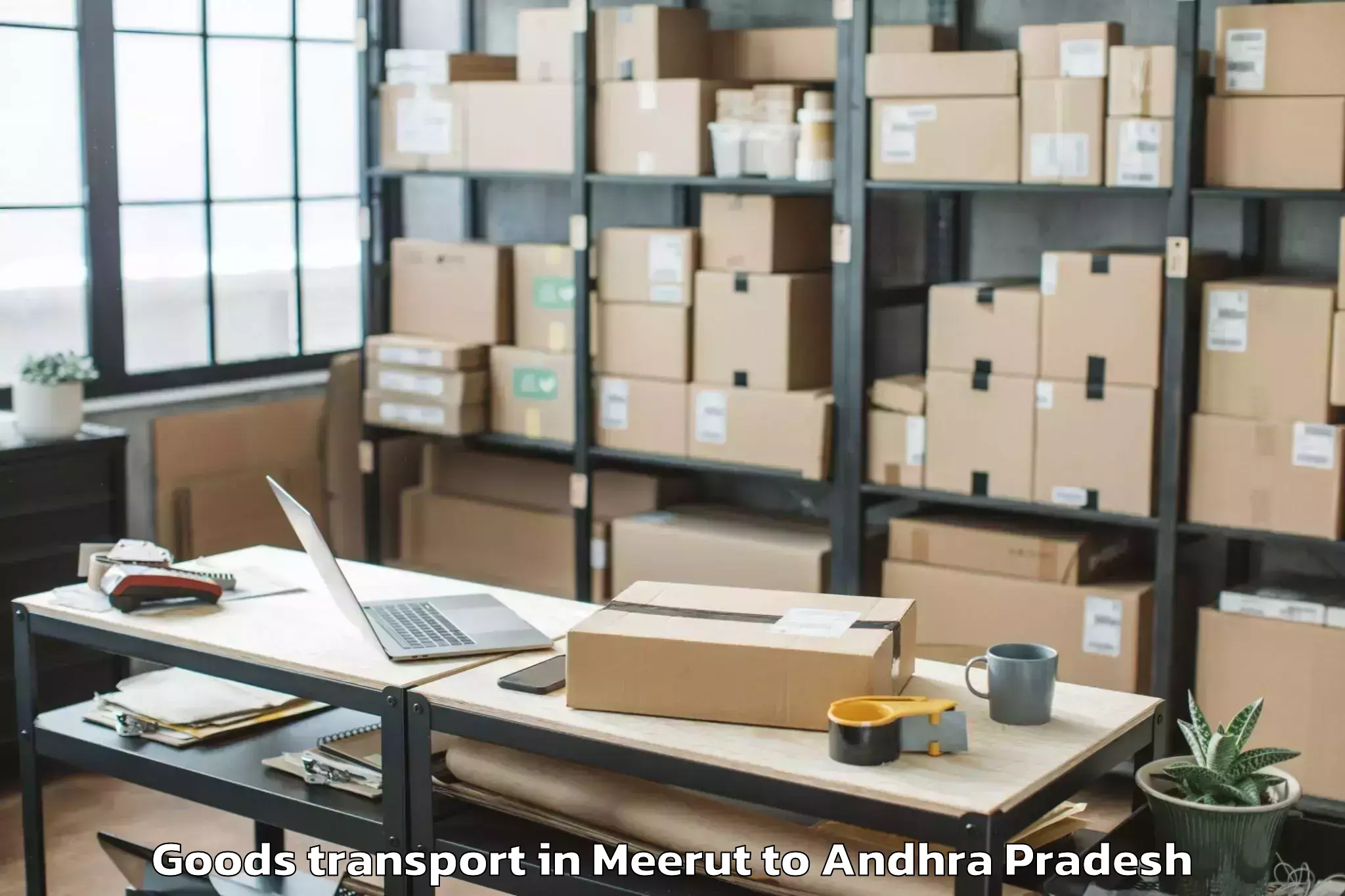 Quality Meerut to Nadendla Goods Transport